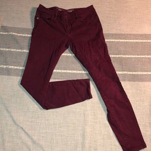Maroon Jeans